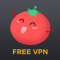 تحميل برنامج Tommato VPN للاندرويد اخر اصدار فري